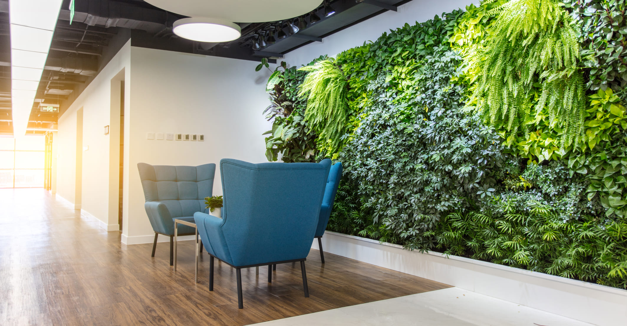 Bureaux d'entreprises avec espaces verts